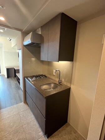 ザ・パークハビオ荏原中延駅前の物件内観写真